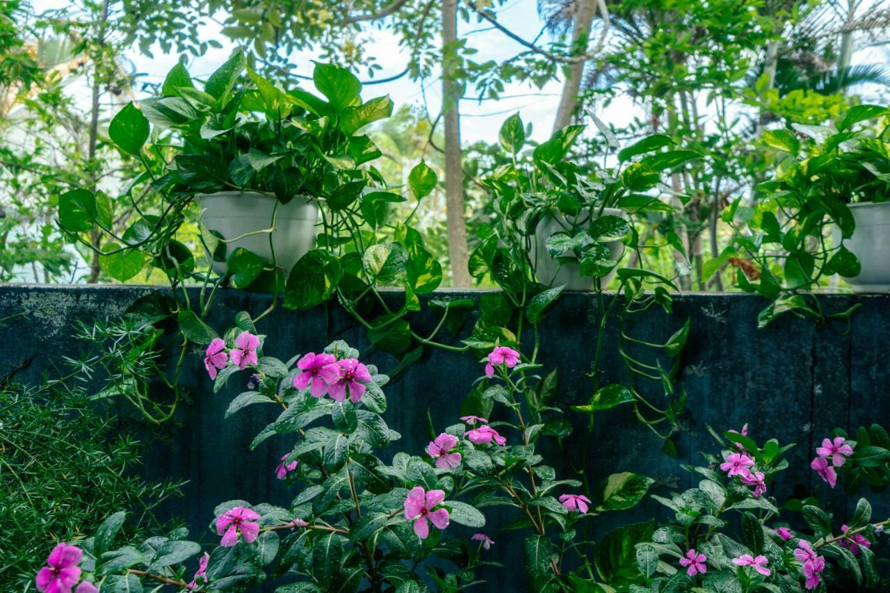Green Bud Hostel And Homestay Χόι Αν Εξωτερικό φωτογραφία